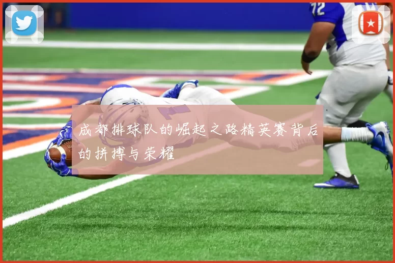 成都排球队的崛起之路精英赛背后的拼搏与荣耀