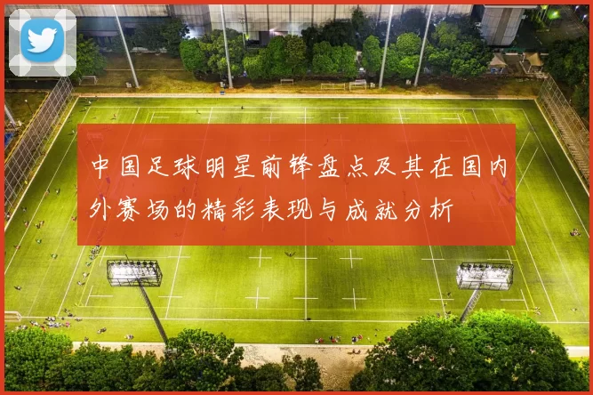 中国足球明星前锋盘点及其在国内外赛场的精彩表现与成就分析