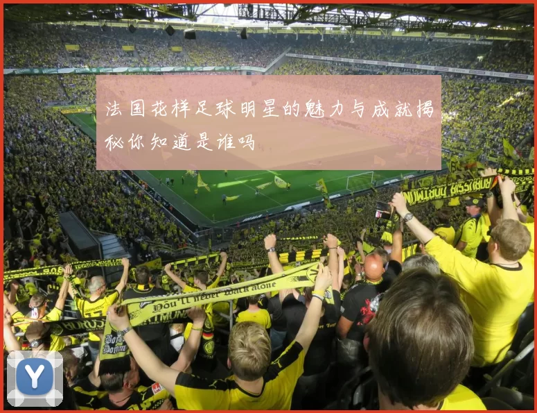 法国花样足球明星的魅力与成就揭秘你知道是谁吗