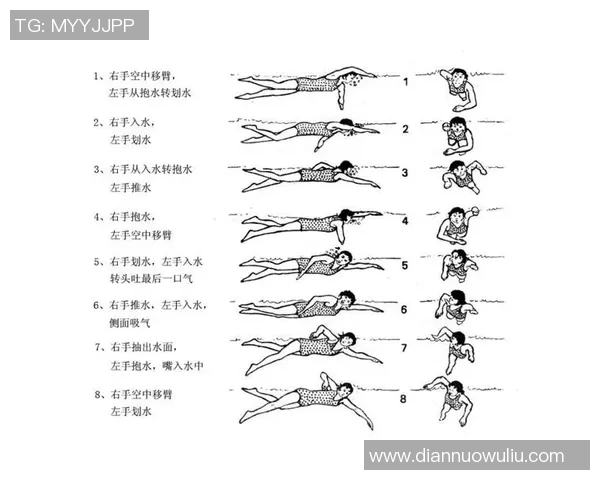 自由泳技巧全解析 提升泳姿与速度的实用训练视频教程