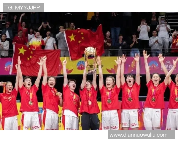 深度对话陈伟排球人生的起伏与坚持探索之路